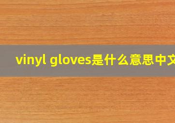 vinyl gloves是什么意思中文